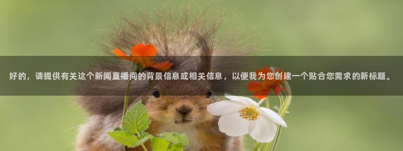 857体育赛事：好的，请提供有关这个新闻直播间的背景信息或相关信息，以便我为您创建一个贴合您需求的新标题。