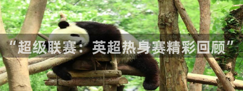 857nba直播：“超级联赛：英超热身赛精彩回顾”