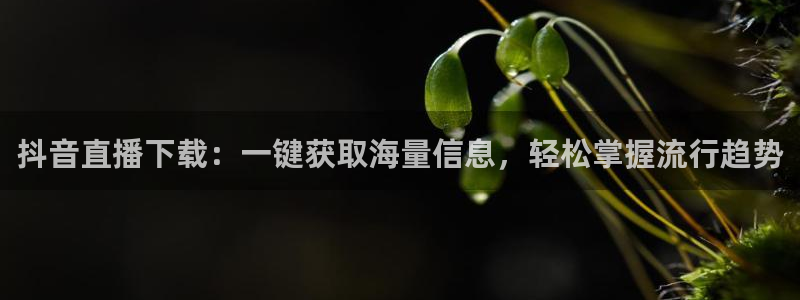 857直播体育直播：抖音直播下载：一键获取海量信息，轻松掌握流行趋势