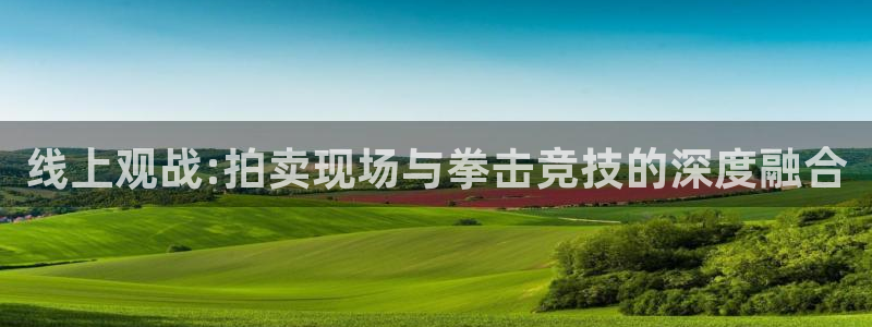 857体育直播入口：线上观战:拍卖现场与拳击竞技的深度融合