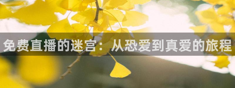 857体育篮球直播：免费直播的迷宫：从恐爱到真爱的旅程